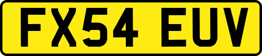 FX54EUV