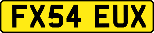 FX54EUX