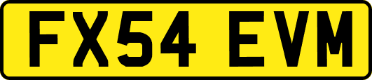 FX54EVM