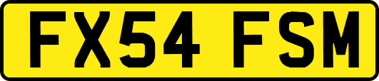FX54FSM