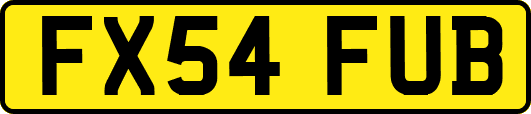 FX54FUB
