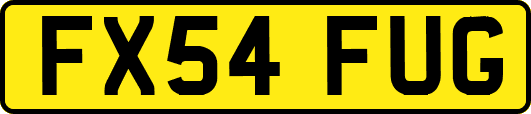 FX54FUG