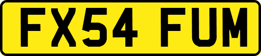 FX54FUM