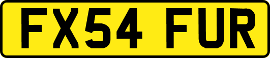 FX54FUR