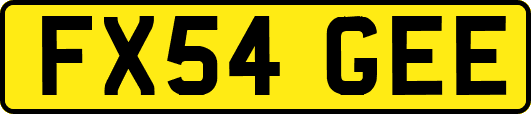 FX54GEE