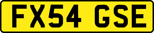 FX54GSE