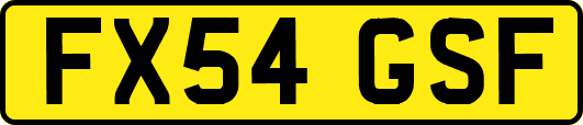 FX54GSF