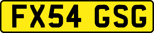 FX54GSG