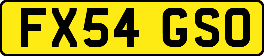 FX54GSO