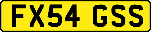 FX54GSS