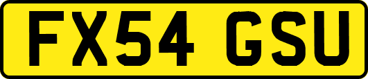 FX54GSU