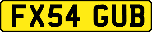 FX54GUB