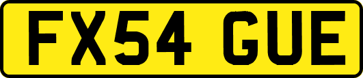 FX54GUE
