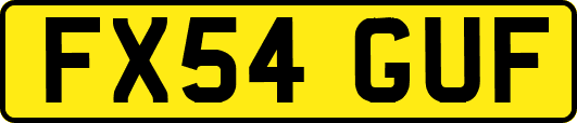 FX54GUF