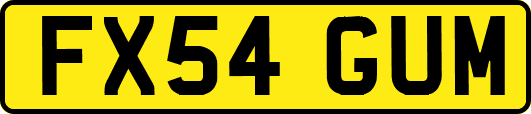 FX54GUM
