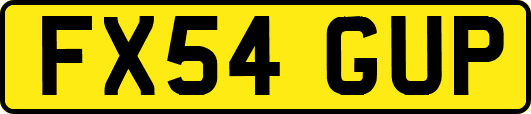 FX54GUP
