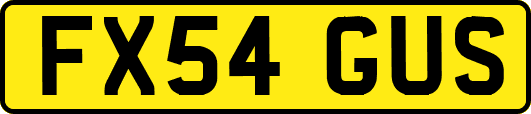 FX54GUS
