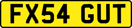 FX54GUT