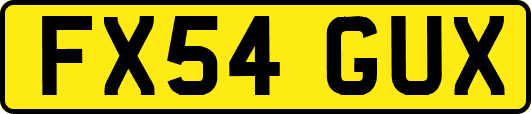 FX54GUX