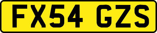 FX54GZS