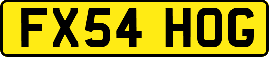 FX54HOG