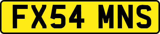 FX54MNS