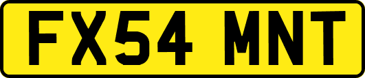 FX54MNT