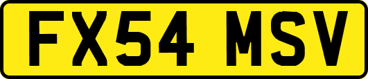 FX54MSV