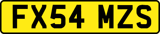 FX54MZS