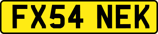 FX54NEK