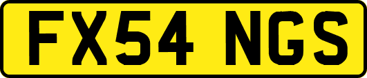 FX54NGS