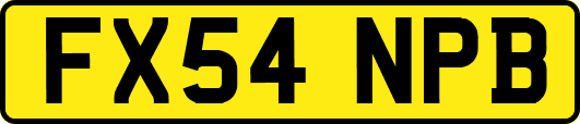 FX54NPB