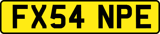 FX54NPE