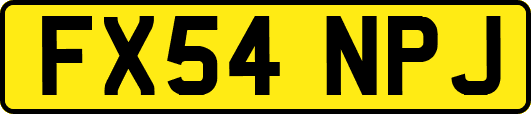 FX54NPJ