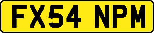 FX54NPM