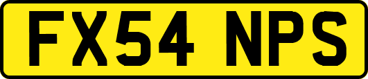 FX54NPS