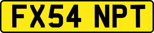 FX54NPT