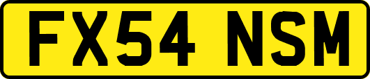 FX54NSM