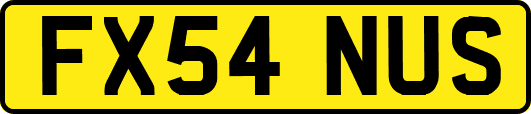 FX54NUS