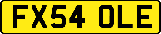 FX54OLE