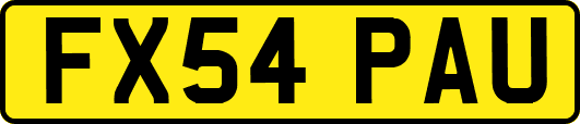 FX54PAU
