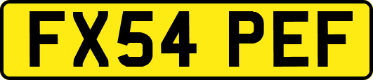 FX54PEF
