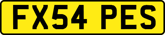 FX54PES