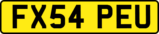 FX54PEU