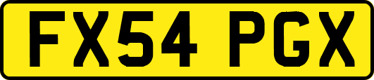 FX54PGX