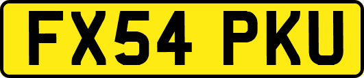 FX54PKU
