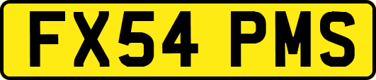 FX54PMS