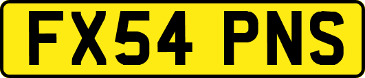 FX54PNS