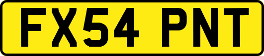 FX54PNT