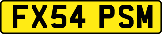 FX54PSM